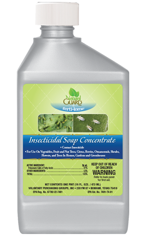 Insecticidal Soap Concentrate (16 fl. oz.)
