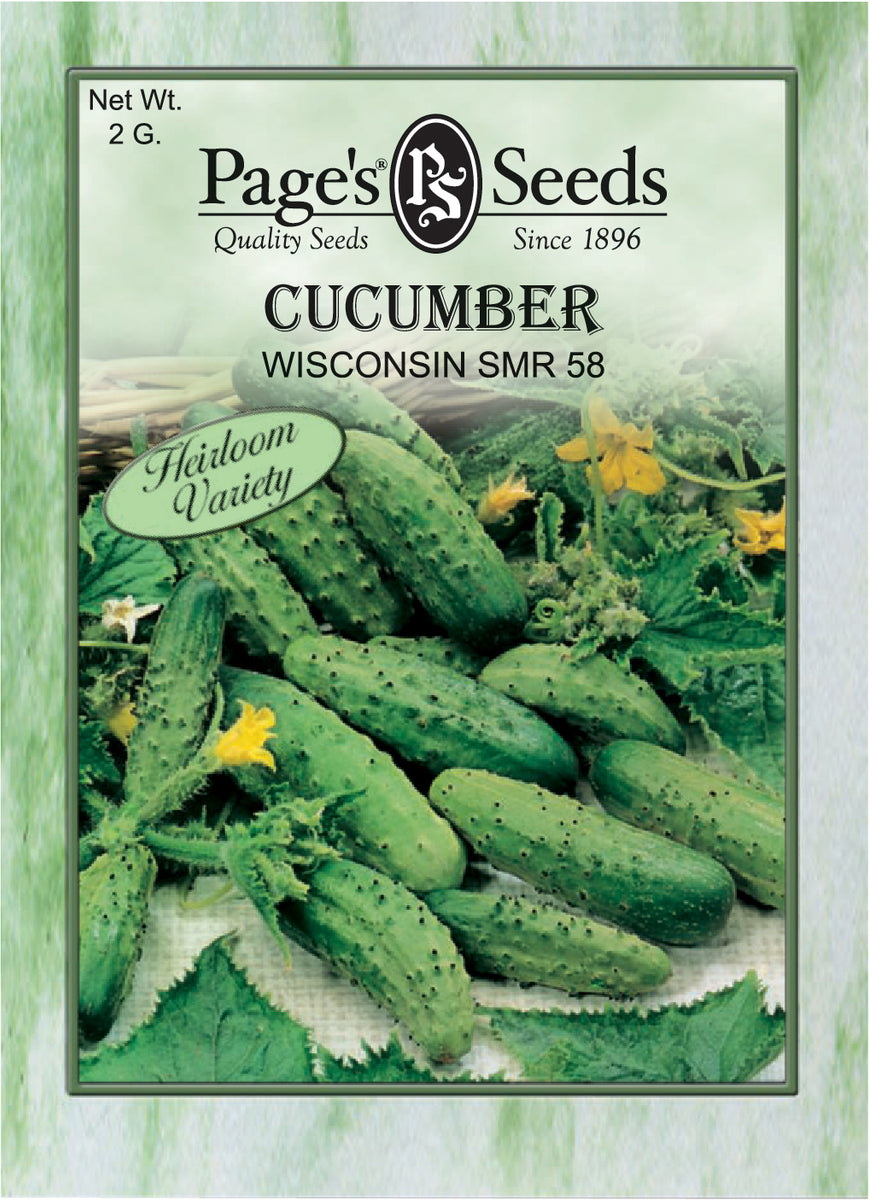 さやお　concombre等 P335-Cucumber-Wisconsin-SMR-
