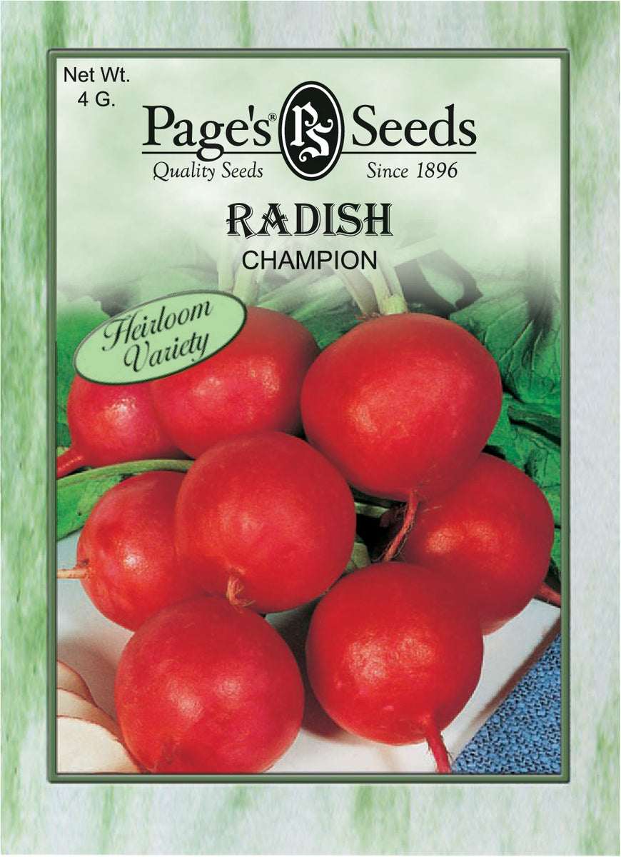 Radish Champion Packet of Seeds Green Thumb Nursery