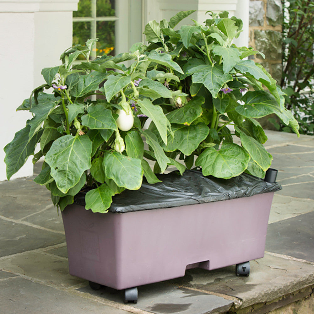 potting mix for earthbox EarthBox Mulch Kit