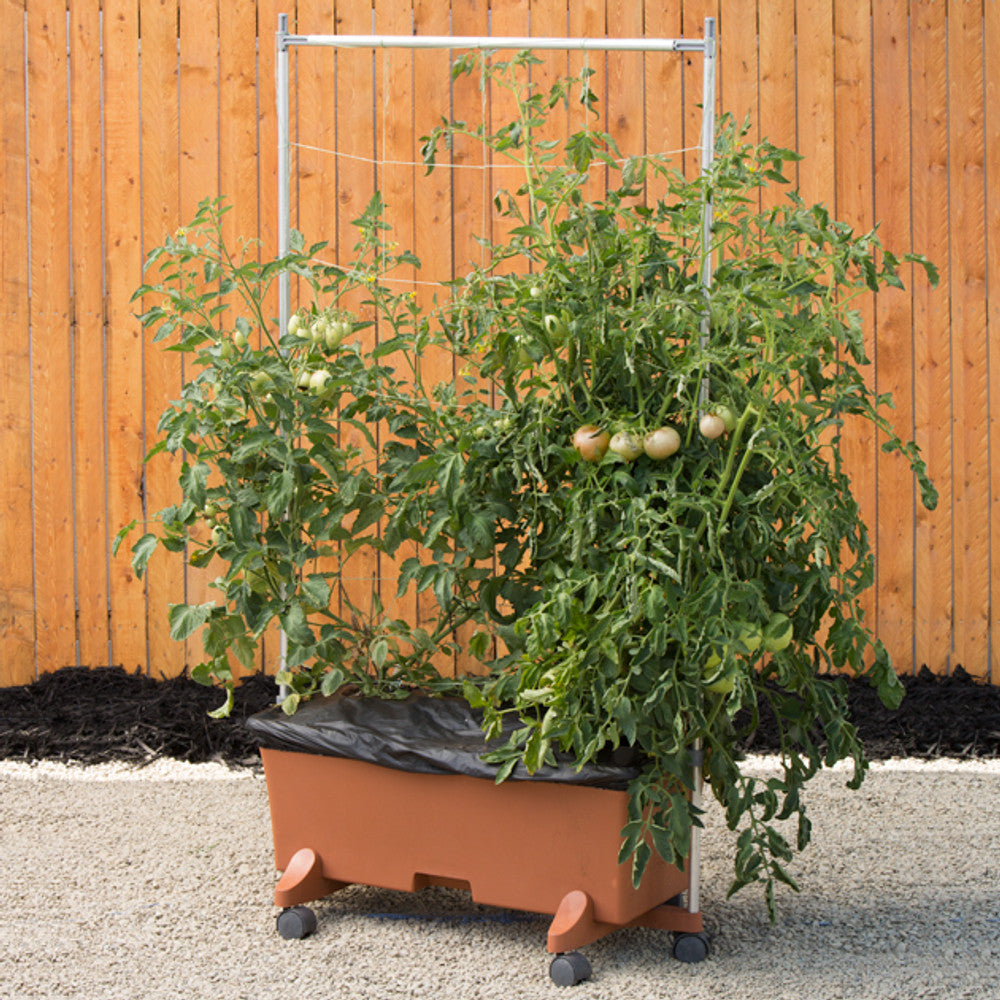 planting seeds in earthbox EarthBox