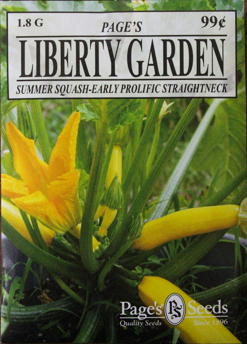 seeds to plant in early summer Summer Squash - Early Prolific Straightneck