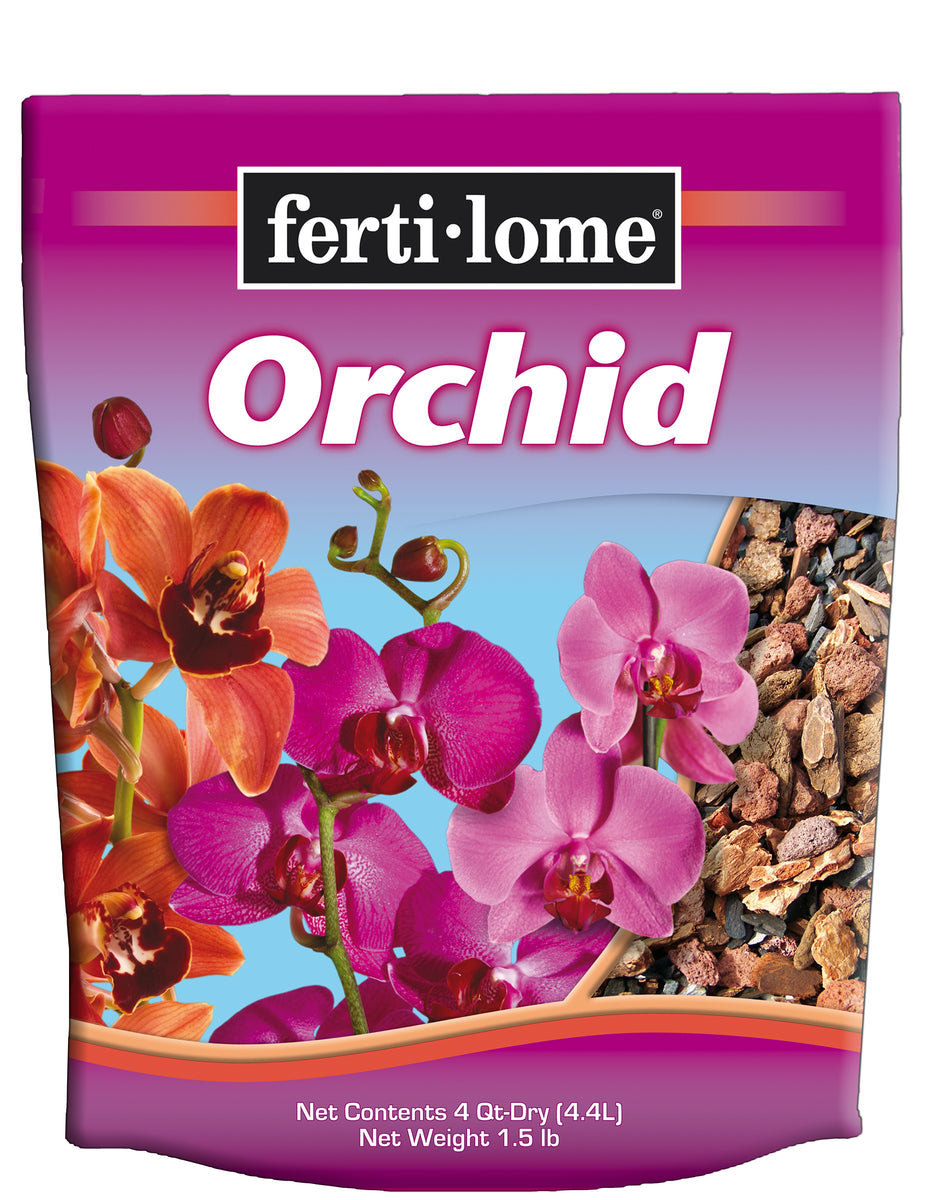 orchid_1200x1200.jpg?v=1545329846