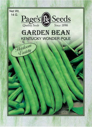 Garden Bean - Kentucky Wonder Pole - Packet of Seeds