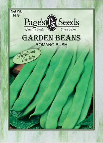 Garden Beans - Romano Bush - Packet of Seeds
