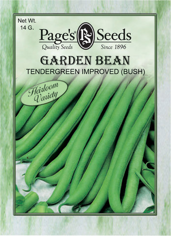 Bush Bean - Tendergreen Improved - Packet of Seeds (14 g)
