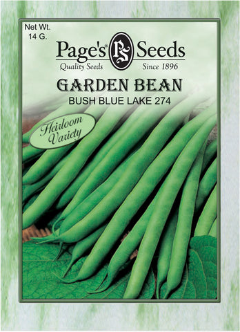 Bush Bean - Bush Blue Lake 274 - Packet of Seeds (14 g.)