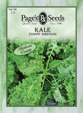 Kale - Dwarf Siberian - Packet of Seeds (2 g.)