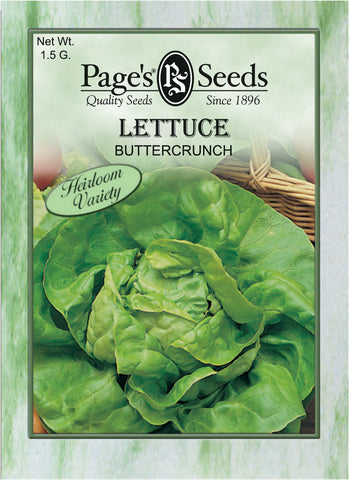 Butterhead Lettuce - Buttercrunch - Packet of Seeds (1.5 g.)