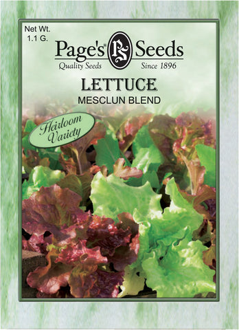 Lettuce - Mesclun Blend (Salad Greens) - Packet of Seeds
