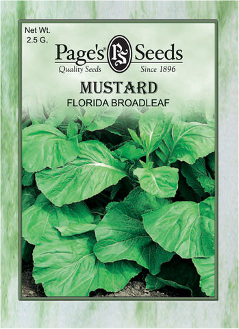 Mustard - Florida Broadleaf - Packet of Seeds