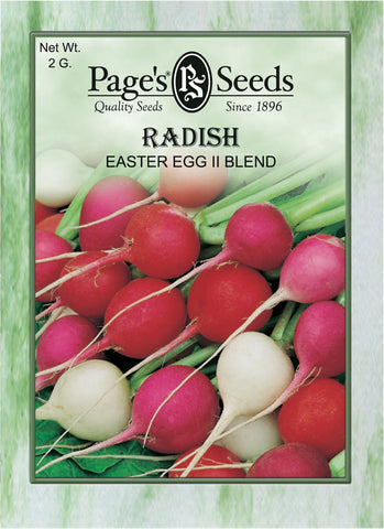 Radish - Easter Egg II Blend - Packet of Seeds