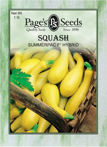 Squash - Summerpac F1 Hybrid - Packet of Seeds