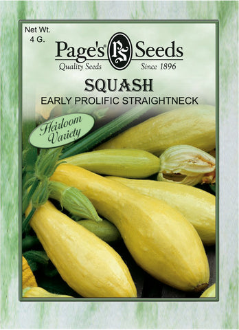 Squash - Early Prolific Straightneck - Packet of Seeds