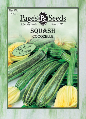 Squash - Cocozelle - Packet of Seeds