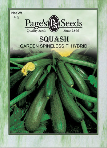 Squash - Garden Spineless F1 Hybrid - Packet of Seeds