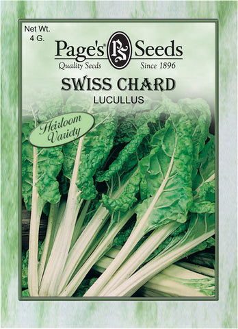 Swiss Chard - Lucullus - Packet of Seeds