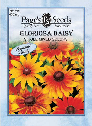 Gloriosa Daisy - Single Mixed Colors - Packet of Seeds