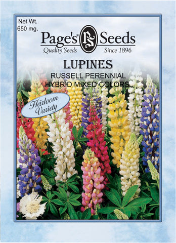 Lupines - Russell Mixed Colors - Packet of Seeds
