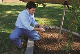Professional Stake Straight Tree Support Kit 32"