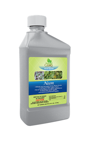 Green Thumb Nursery Natural Guard Neem Concentrate 16 ounce Tampa, Florida